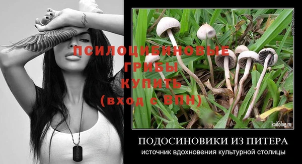 дживик Касимов