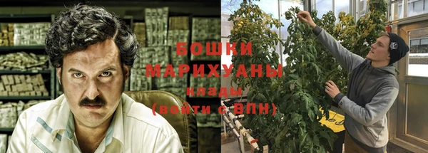 дживик Касимов