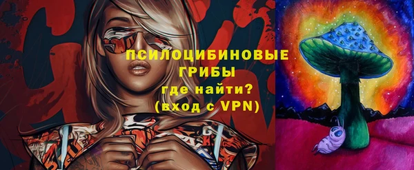 дживик Касимов
