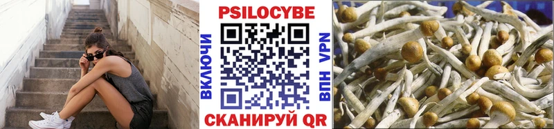 Псилоцибиновые грибы прущие грибы  дарнет шоп  Рыбинск 
